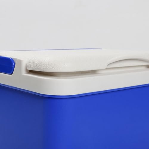 Incubateur portable pour barbecue et camping, glacière isotherme de route 6l