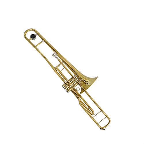 TSTS C L[S[h X[L[ bJ[dグ ^J g{[ Xe[WptH[}X S g{[ɍœK