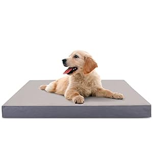 Nobleza Cama Perro Pequeño Ortopédica, Colchoneta Perro Lavable, Colchon Perro con Funda Desenfundable, Relleno Grueso, Forma de Huevo, Tamaño S, 60x40x8cm, Gris