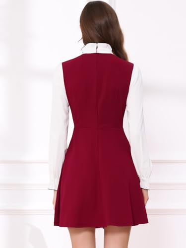 Image of Allegra K Tie Neck Dresses for Women's 1960s Vintage Long Sleeve Contrast Color Dress