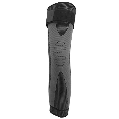 GT|[^[ xѕی GX[u Goh oR WMO K ό`ɂ EH[LO(XL)