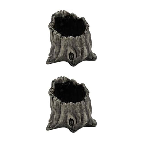 Pot de fleurs en bois flotté pour cactus, succulentes et décorations en bois de table - 3