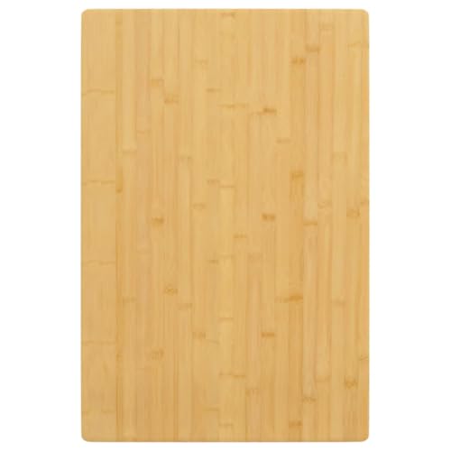 vidaXL Tablero de Mesa de bambú 60x100x2,5 cm