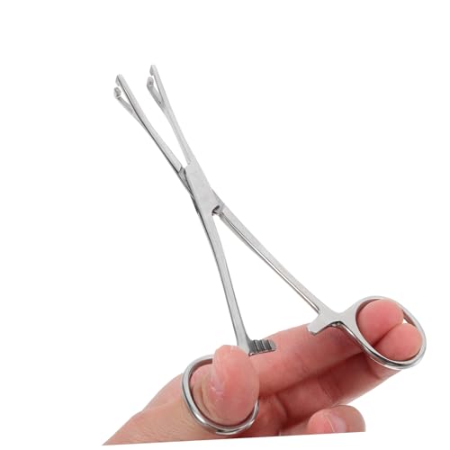 DEARMAMY 爬虫類用給餌ピン ステンレス製 食品保持 滑り止め ペット餌やり用 テラリウム飼育簡単ツール