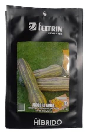 Semente De Abóbora Landa Gigante Híbrida Feltrin 15 Sementes