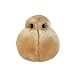 Giant Microbes Fat Cell Science Kit Science Kit