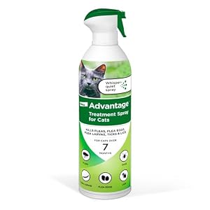 Advantage Cat Flea