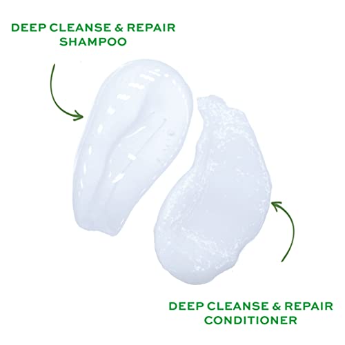 Foto von John Frieda - Deep Cleanse & Repair Conditioner - Inhalt: 250 ml - Mit Hanfsamen-Öl & nährender Avocado - Beruhigende Haarspülung für strapaziertes Haar - 250 ml