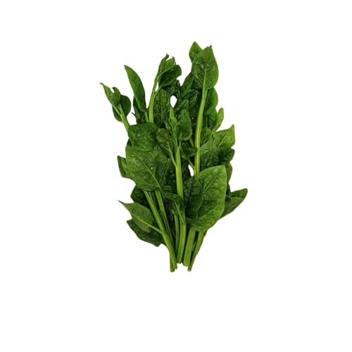 Zenxin Organic New Zealand Spinach 250g