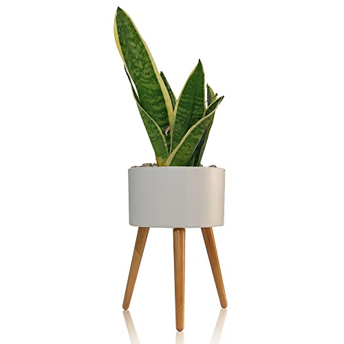 Pot auto-arrosant Kirin - C bac à fleurs intérieur extérieur - 3