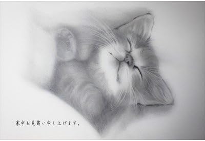 Amazon 鉛筆イラストポストカード 文字入り 寒中お見舞い申し上げます 猫のイラスト 絵彩霞作 えはがき絵葉書postcard ポストカード 絵柄付はがき 文房具 オフィス用品