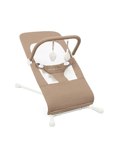 Image of Baby Delight Highland Organic Baby Bouncer | Infant | 0 – 6 Months | 3-Position Recline | Organic Mocha