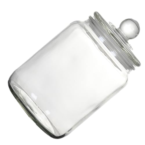 Toddmomy KXۑ r eB[  2Le HiCh~ ƒpފ[e