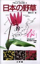 Tankobon Hardcover Wildflower of Japan (Field Guide) (1990) ISBN: 4092080042 [Japanese Import] Book