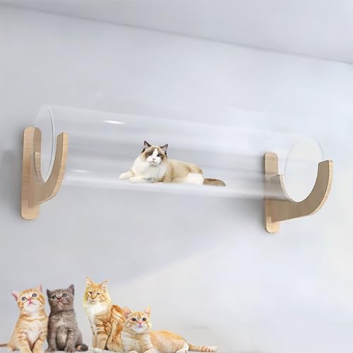 FDOSIJFOS Rascador para Gatos, Muebles de Pared Modernos for Gatos, Muro Escalada for, estantes for, Juego Techo y DIY, Ahorra Espacio(S16)
