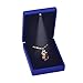iSuperb LED Light Pendant Box Blue Necklace Display Case Jewelry Gift Box