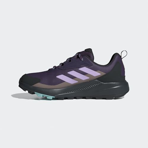 adidas Adidas Women's Terrex Anylander Hiking, Aurora Plum/Powder Plum/Trace Brown, 11