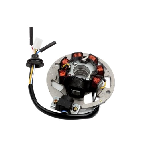 Estator magnético Scooter 50cc 2 Tiempos para encendido de SP RY6 RY8 2009 1