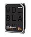 WD_BLACK 6TB Gaming Internal Hard Drive HDD - 7200 RPM, SATA 6 Gb/s, 128 MB Cache, 3.5