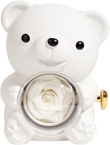 [Zxyler] ĩoMtg{bNX xAu vU[uh[Y n[g^lbNXZbg v[g ̓/o^C/ap (E)