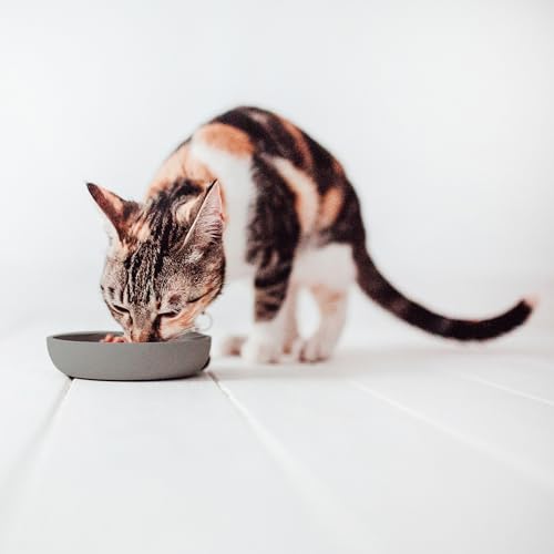 District 70 - Bamboo Cat Bowl - Grey - ø 12 cm (180ml)