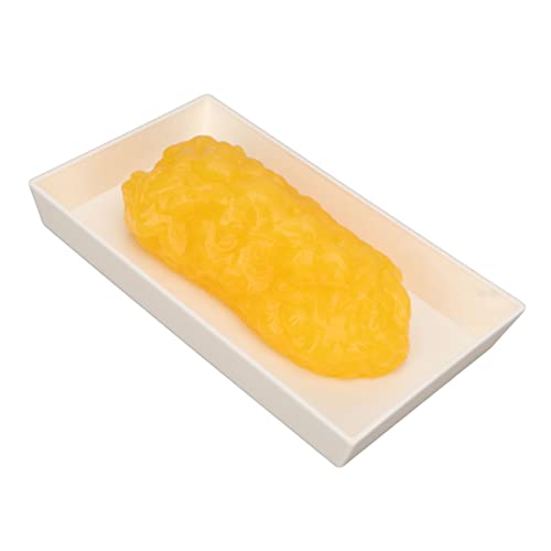 Image of Fat Replica 1lb,Human Body Fat Replica Fat Model,Human Fatty Tissue Demonstration Model for Nutritionist Science Course,Accurate Feel and Appearance of 1 Pound of Fat