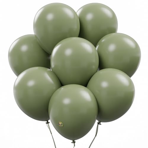 Image of AFTERLOON Biodegradable Balloons 24 pcs Sage Green 12 Inch, Natural Rubber Latex Plastic-Free Alternative Matte Color Durable Thickened Extra Strong Helium Float, ballon baloon Globos Decor Fiestas