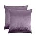 AREZY Fundas de cojín de terciopelo de 45 x 45 pulgadas Reino Unido – Juego de 2 fundas de almohada cuadradas decorativas para cama, sofá y sofá con cremallera invisible (Lilac)