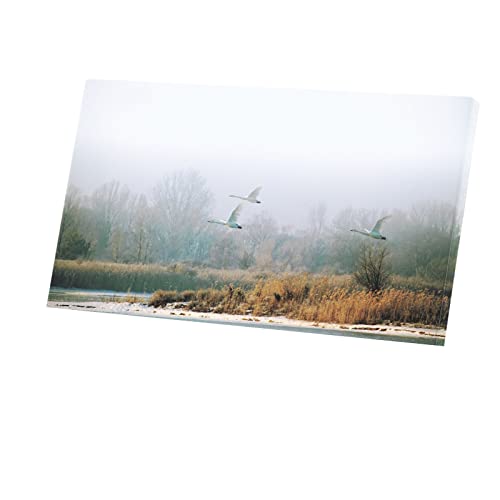 Tableau décoratif vol d'oies sauvages - Toile imprimée 71x40 cm poster brume