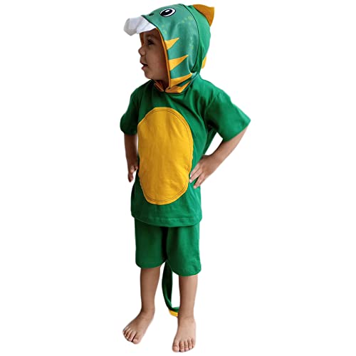 Conjunto Infantil Fantasia Dinossauro Camiseta e Short