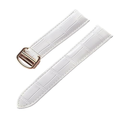 JeBG L[EFXg h `[^[ EHb`p AQ[^[e[U[Xgbviu[uEjjpvXgbvƌ݊