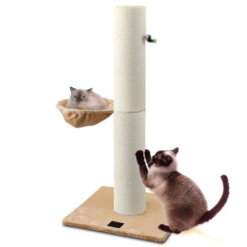 L܂Ƃ|[ ߂Ƃ Lbgc[ u 120cmO^Cv ɑ(a20cm) yx[Wz ȓꊪ/t^Cv