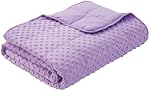 Couverture pondérée pour adultes, Couverture confortable et souple avec perles en verre premium pour toute la saison 15 Lbs 60"x80", violet