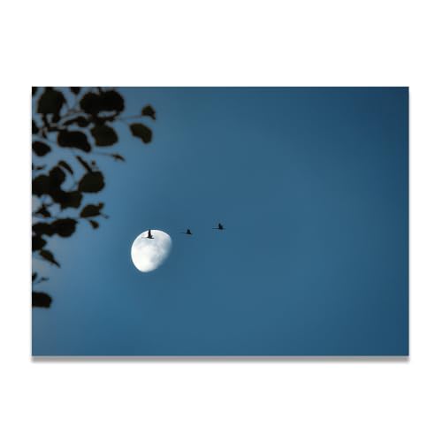 Cuadro de montañas para decorar tu sala u oficina: paisaje natural canvas de 30x42cm