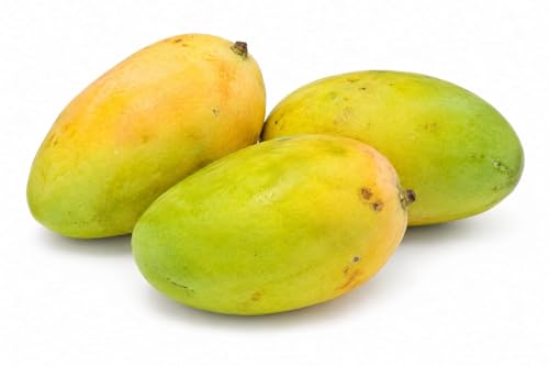 Fresh Mango Taimoor Yemen Half Ripe/Ripe 400-500g (2-3 pieces)