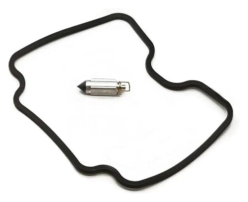 Kit De Réparation Carburateurs Grizzly 660 Remise À Neuf Randonnée
