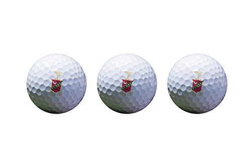 Desert Cactus Kappa Sigma Color Printed Unique Golf Balls (Set of 3) Licensed Product Kappa Sig (Crest Golf Balls)