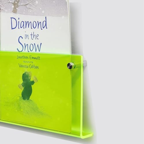 ROYALITA 2-Pack Acrylic Magazine Holder Brochure Holder, 17" Record Holder