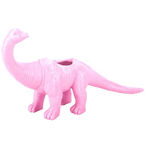 Maceta suculenta de dinosaurio, maceta de flores de bonsái de huerto.