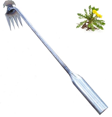 Weeding Artifact Uprooting Weeding Tool Gardening
