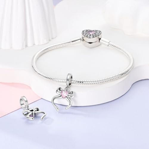 Parmuz 925 Sterling Silver Charm for Bracelets Dog Evil Eye Travel Love Mom Dangle Charms for European Bracelets Necklace Pendant Beads Jewelry Gift for Woman2