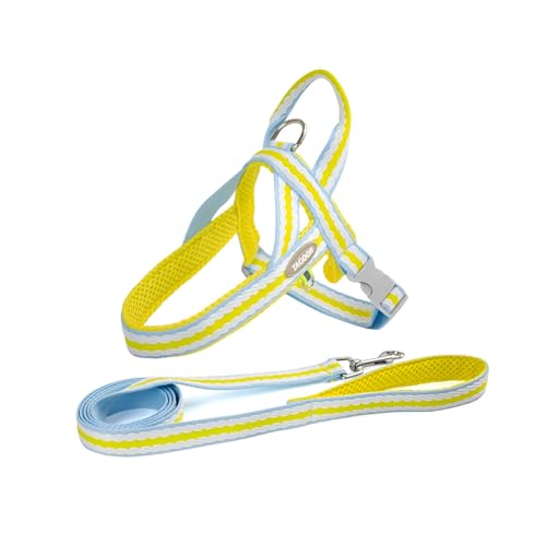 [Miflaier]yy n[lXz yȒPEz Lk 藎h~ h~@\t Upybg n[lX ^E^ɉK