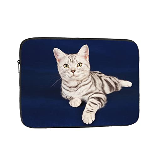 m[gp\RP[X AJV[gwA L lR F PCCi[obO bvgbv Jo360°ی ϏՌ [ ^ 킢 13 / 15 / 17 C` bvgbvX[u ʋ ʊw  t