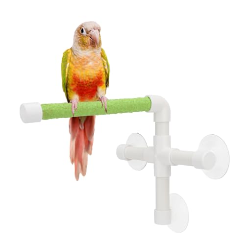 Hypeety Portable Suction Cup Bird Window and Shower Perch Toy for Bird Parrot Macaw Cockatoo African Greys Budgies Parakeet Bath Perch Toy