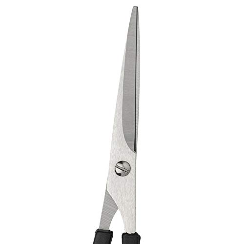 Enox Tesoura Barbeiro 5,5