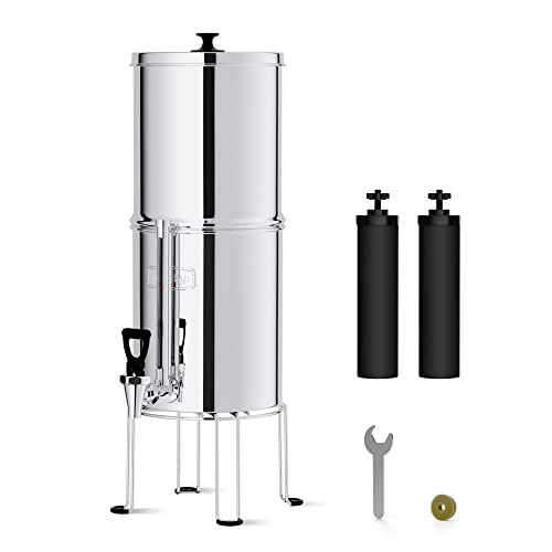 Waterdrop Water Filter System, NSF/ANSI 42&372 Standard, 2.25G Stainless-Steel System with 2 Filters, Sight Glass Spigot and Stand, Reduces Chlorine and Lead-King Tank Series, WD-TK-S 2.25G