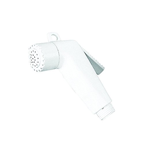 Nuova Rade Shower Head, made of ABS, 1/2
