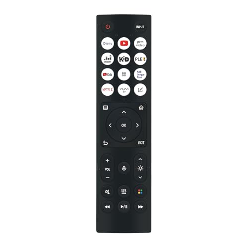 Image of WINFLIKE ERF3E96H Voice Remote Control Replace for Hisense 4K Laser Cinema Projector T336072 PX2-PRO T336072 PX2 PRO ERF3E96