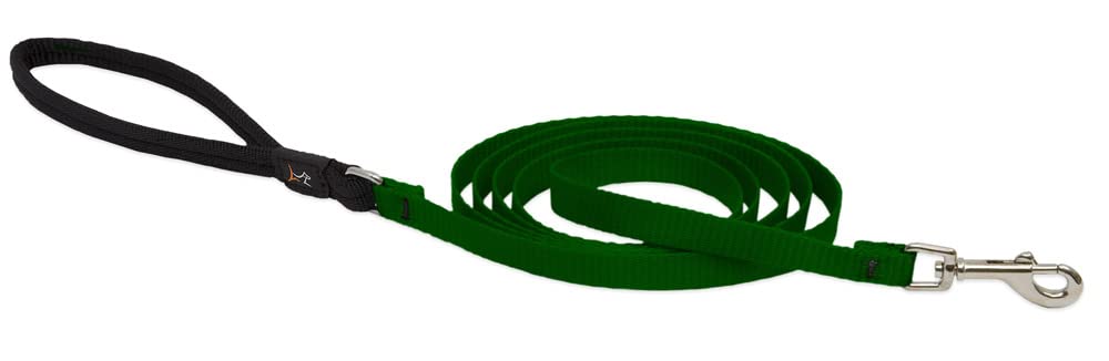Basics 1/2" Green 6-foot Padded Handle Leash for Small Pets