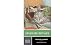 Madame Bovary (Norton Critical Editions)
